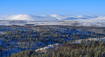 Biosphoto | 2621575 | Chaîne de montagnes Gaissene, partie du parc national de Stabbursdalen. Paysage hivernal près de Porsangmoen. Europe, Scandinavie, Norvège, Finnmark. | &copy; Martin Zwick / Biosphoto