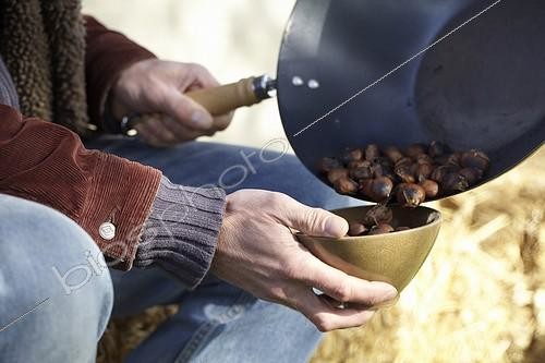 Biosphoto | 1633026 | Châtaigne ; Roasted chestnuts | &copy; Visions Botanical / Visions Pictures / Biosphoto