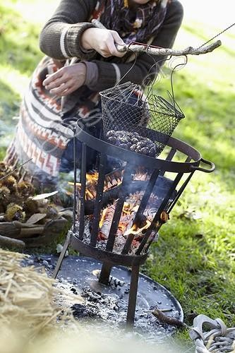 Biosphoto | 1632809 | Châtaigne ; Roasting chestnuts | &copy; Visions Botanical / Visions Pictures / Biosphoto