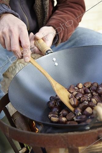 Biosphoto | 1633010 | Châtaigne ; Roasting chestnuts | &copy; Visions Botanical / Visions Pictures / Biosphoto