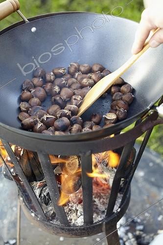 Biosphoto | 1633024 | Châtaigne ; Roasting chestnuts | &copy; Visions Botanical / Visions Pictures / Biosphoto