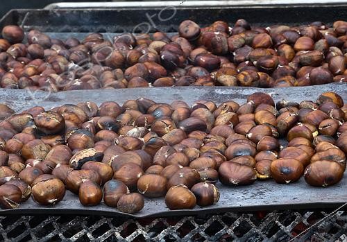 Biosphoto | 2593068 | Châtaignes grillées sur les braises, Sarthe, France | &copy; Michel Gile / Biosphoto