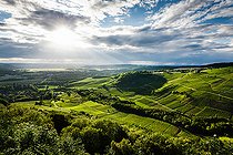 Biosphoto | 2558235 | Château-Chalon, AOC vineyard, capital of Vin Jaune, Jura, France | &copy; Stéphane Godin / Biosphoto