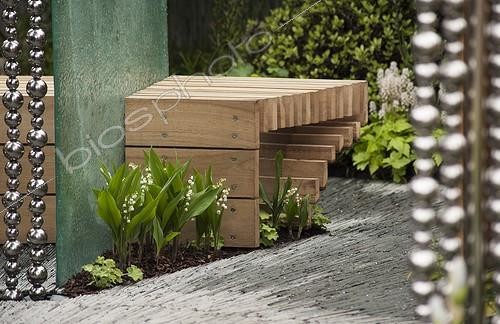 Biosphoto | 1895726 | Chelsea Flower Show 2013 ; Chelsea Flower Show 2013, The SeeAbility garden, Designer Darren Hawkes Landscapes. Silver Gilt Flora medal<br/>Convallaria majalis | &copy; Carol Sharp / Flowerphotos / Biosphoto