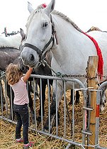 Biosphoto | 2587995 | Child and Percheron horse, agricultural show, Sarthe, France | &copy; Michel Gile / Biosphoto