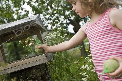 Biosphoto | 1127845 | Child depositing fat balls in a manger France | &copy; Marc Chatelain / Biosphoto