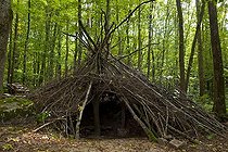 Biosphoto | 1251440 | Child wooden shed | &copy; Franck Fouquet / Biosphoto