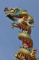 Biosphoto | 1600242 | Chinese dragon, Chinese temple in Bangkok, Thailand, Asia | © Walter G. Allgoewer / imageBROKER / Biosphoto