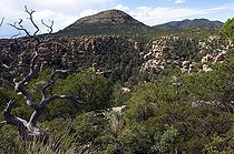 Biosphoto | 1249949 | Chiricahua Mountains National Monument Arizona USA | &copy; Daniel Heuclin / Biosphoto
