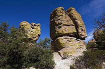 Biosphoto | 1249952 | Chiricahua Mountains National Monument Arizona USA | &copy; Daniel Heuclin / Biosphoto