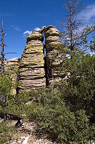 Biosphoto | 1249953 | Chiricahua Mountains National Monument Arizona USA | &copy; Daniel Heuclin / Biosphoto