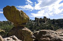 Biosphoto | 1249954 | Chiricahua Mountains National Monument Arizona USA | &copy; Daniel Heuclin / Biosphoto