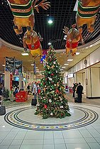 Biosphoto | 1602306 | Christmas decoration, seen at the airport of Bahrain | © Walter G. Allgoewer / imageBROKER / Biosphoto