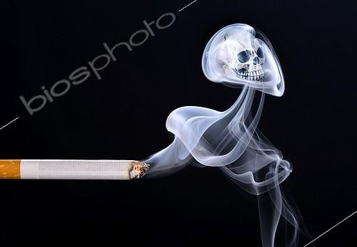 Biosphoto | 1854086 | Cigarette smoke forming a skull, symbolic image of death from smoking, smoking endangers the health. | &copy; Michael Weber / imageBROKER / Biosphoto