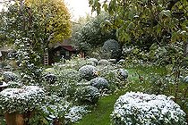 Biosphoto | 2027071 | City garden under snow | &copy; Philippe Giraud / Biosphoto
