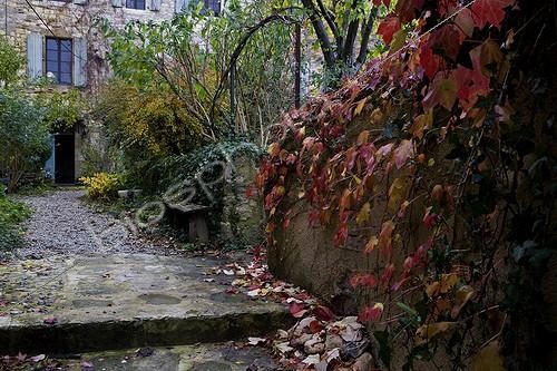 Biosphoto | 666046 | City Park in autumn Tarn France | &copy; Michel Gunther / Biosphoto