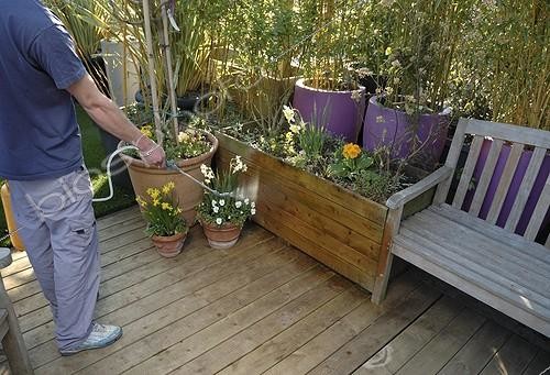 Biosphoto | 1041739 | Cleaning of a garden terrace with anti moss product | &copy; Alexandre Petzold / Biosphoto