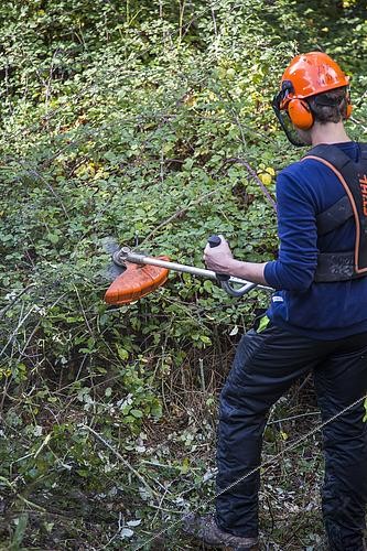 Biosphoto | 2495135 | Clearing brush in the Luberon, France | &copy; David Tatin / Biosphoto