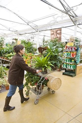 Biosphoto | 563620 | Cliente poussant son caddy dans une jardinerie | &copy; Claudius Thiriet / Biosphoto