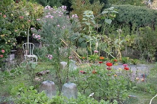 Biosphoto | 1268499 | Cloches dans un jardin fleuri en été | &copy; Patricia Méaille / Biosphoto