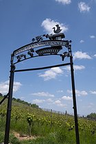 Biosphoto | 2601733 | Clos Gaensbrœnnel gate, vineyard, Barr, Bas Rhin, France | &copy; Denis Bringard / Biosphoto
