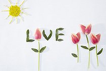 Biosphoto | 2164814 | Collage de printemps | &copy; Visions Pictures / Biosphoto