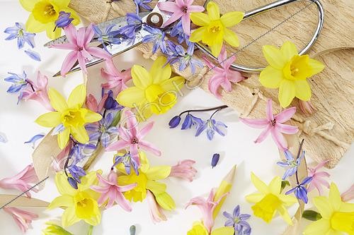 Biosphoto | 2567463 | Collage de printemps avec Narcisse, Jacinthe, Scille | &copy; ~VisionsPictures collages / Visions Pictures / Biosphoto