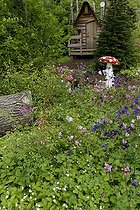 Biosphoto | 2066837 | Columbine flowers and mushroom sculpture, Garden for Peace in Bitche , Lorraine, France | &copy; Denis Bringard / Biosphoto