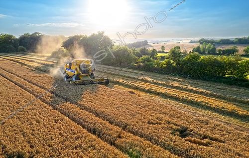 Biosphoto | 2587614 | Combine harvester harvesting wheat, England | &copy; Frédéric Desmette / Biosphoto