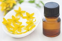 Biosphoto | 1255052 | Common Saint Johnswort essential oil and flowers | &copy; Frédérique Bidault / Biosphoto