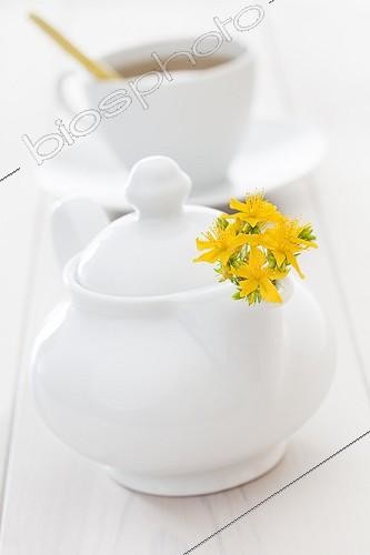 Biosphoto | 1254941 | Common Saint Johnswort infusion | &copy; Frédérique Bidault / Biosphoto