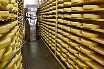 Biosphoto | 2420912 | Comté cheese making, robot brushing cheese grinders in a maturing cellar, Cheese factory, Damprichard, Doubs, France | &copy; Dominique Delfino / Biosphoto