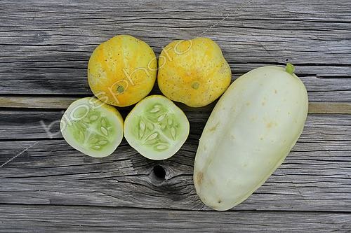 Biosphoto | 2569718 | Concombre citron dont un coupé en deux et Concombre Blanc parisien, posés sur une planche en bois - Cucumis sativa ‘Lemon’ et Cucumis sativus L, Hérault, France | &copy; Thierry Le Quay / Biosphoto