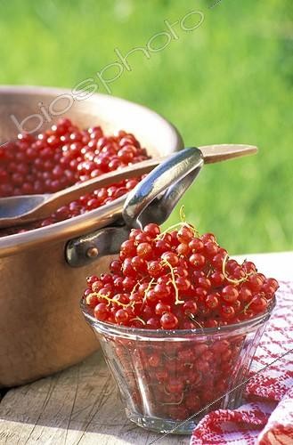 Biosphoto | 582717 | Confiture of Red currant in a basine | &copy; H. Curtis / Biosphoto