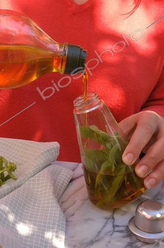 Biosphoto | 102511 | Conservation du basilic dans l'huile  ; Remplir la bouteille d'huile d'olives en recouvrant complètement les feuille | &copy; NouN / Biosphoto