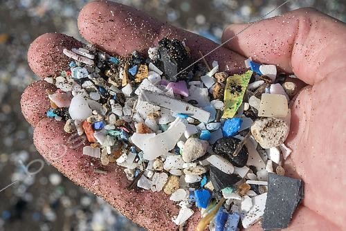 Biosphoto | 2468888 | Contamination du littoral, multitude de plastique et de microplastiques atteignant les plages portées par les vents et les marées. Îles Canaries. | &copy; Sergio Hanquet / Biosphoto