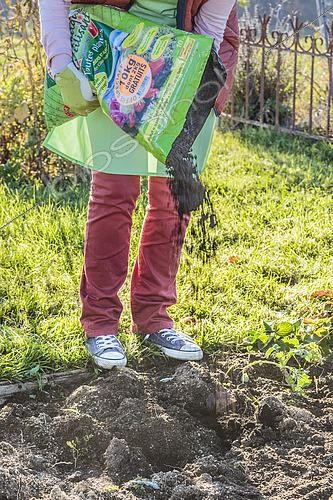 Biosphoto | 2430963 | Contribution of organic amendment composted to a small vegetable garden in the spring. | &copy; Jean-Michel Groult / Biosphoto