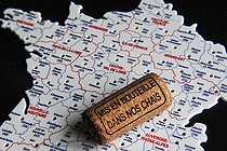Biosphoto | 2575242 | Cork stopper reading 