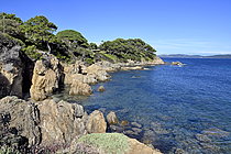 Biosphoto | 2609645 | Côte sauvage, presqu'île de Giens, Var, France | &copy; Dominique Delfino / Biosphoto