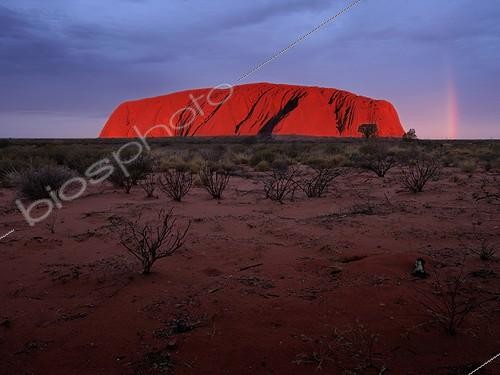 Biosphoto | 561568 | Coucher de soleil sur Ayers Rock Australie | &copy; Edouard Bense / Biosphoto