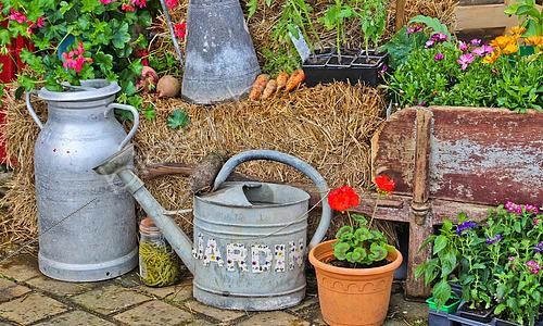 Biosphoto | 2581200 | Country atmosphere in Sarthe, Pays de la Loire, France | &copy; Michel Gile / Biosphoto