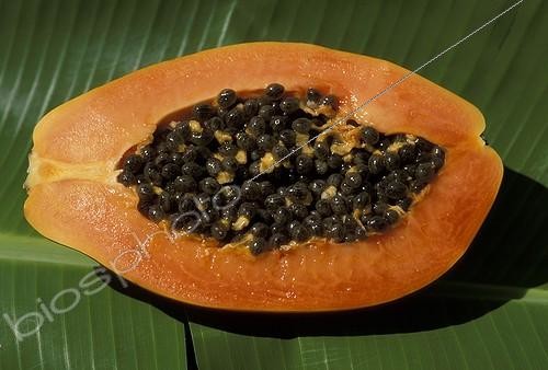 Biosphoto | 10088 | Coupe d'une papaye Brésil | &copy; Julien Frebet / Biosphoto