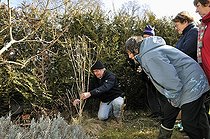 Biosphoto | 1254378 | Cours de taille d'arbustes ornementaux en hiver France | &copy; Denis Bringard / Biosphoto
