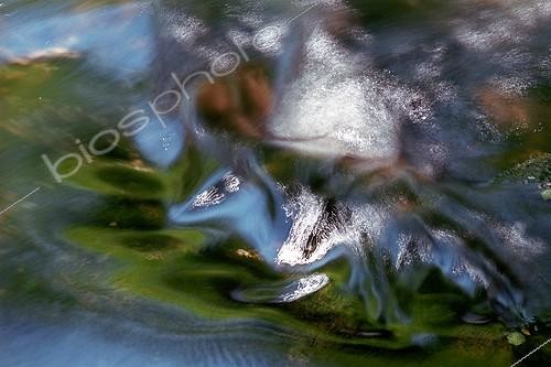 Biosphoto | 943073 | Créature imaginaire dans un reflet d'eau au Val des Ravines | &copy; Didier Vereeck / Biosphoto