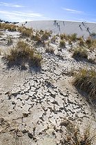 Biosphoto | 1250454 | Creux entre dunes MN White Sands Nouveau Mexique USA | &copy; Daniel Heuclin / Biosphoto