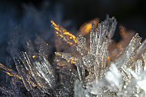 Biosphoto | 2621356 | Cristaux de givre formés à la surface d’une feuille morte, Bessenay, Rhône, France | &copy; Philippe Lebeaux / Biosphoto