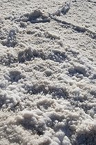 Biosphoto | 1249418 | Cristaux de sel Bad Water PN Vallée de la Mort USA | &copy; Daniel Heuclin / Biosphoto