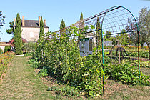 Biosphoto | 2609009 | Culture des courges et des tomates au Jardin Potager de Bonnétable, Sarthe, France | &copy; Michel Gile / Biosphoto