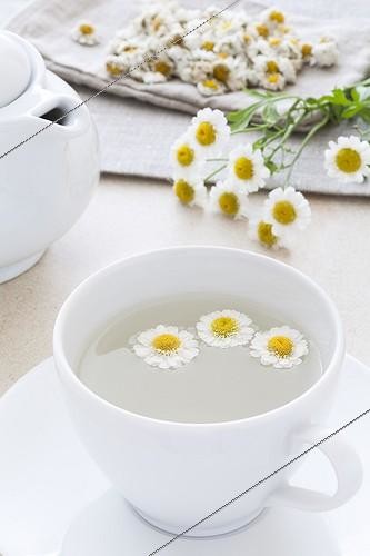 Biosphoto | 1132890 | Cup of Chamomile flowers Tea and Chamomile flowers | &copy; Frédérique Bidault / Biosphoto