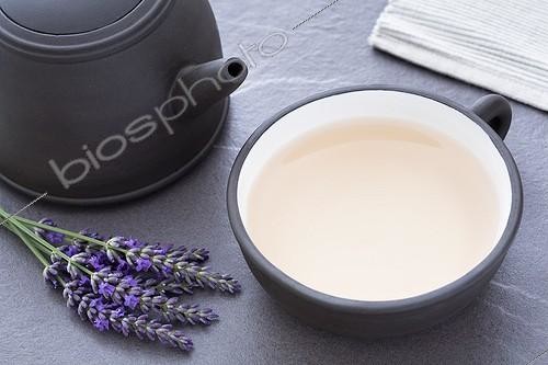 Biosphoto | 1132861 | Cup of herbal lavender tea and sprigs of lavender in bloom | &copy; Frédérique Bidault / Biosphoto